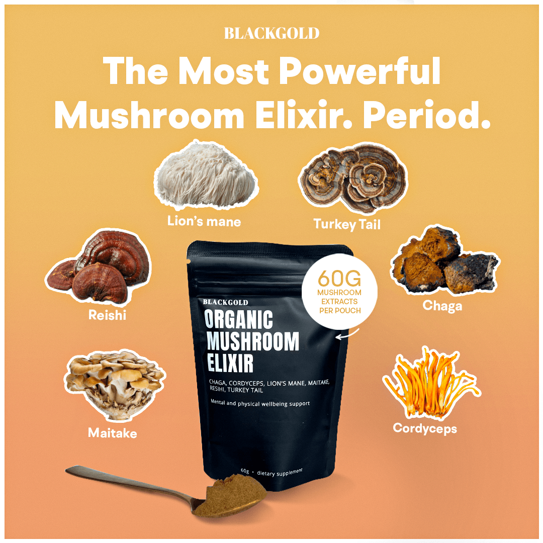 Organic Mushroom Elixir Extract – Blackgold Elixir